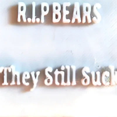 Biển hiệu trang trí 3D R.I.P BEARS - They Still Suck