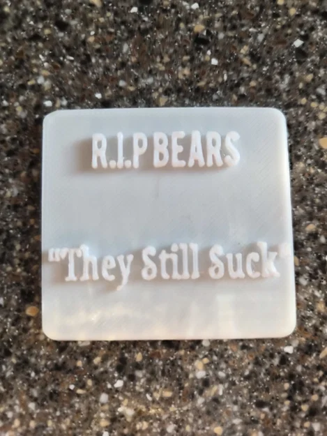 Biển hiệu trang trí 3D R.I.P BEARS - They Still Suck - Image 2