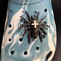 Spider on Crocs - Nhện gắn dép Crocs - Thumbnail 2