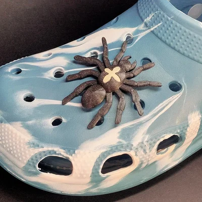 Spider on Crocs - Nhện gắn dép Crocs
