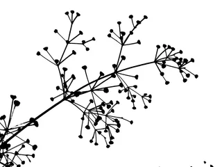 Con dấu xà phòng (từ hình ảnh) - Image 3