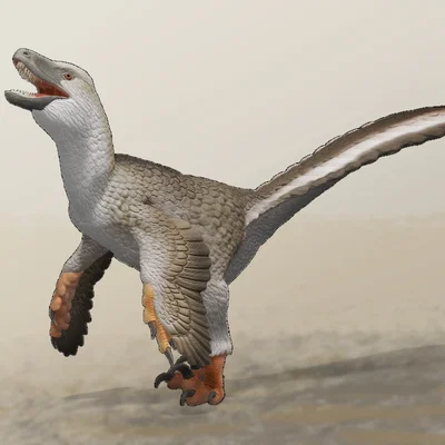 Mô hình Deinonychus