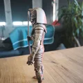 The Mummy 4# – Những Người Bảo Vệ Cổ Đại - Thumbnail 2