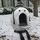 Norm_3099