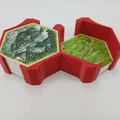 Bộ khay đựng Settlers of Catan - Gộp 5 hộp game vào còn 2 hộp - Thumbnail 5