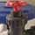 Gusk_245479
