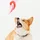 AdrianMartin_3255273