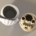 Bộ chậu trồng sen đá chủ đề bãi biển: Lâu đài cát và Vỏ sò - Thumbnail 5