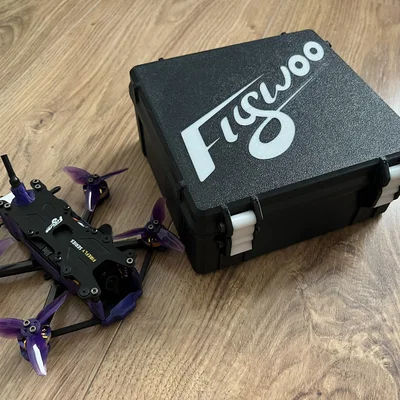 Hộp đựng Flywoo Firefly20 Pro