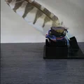 Giá đỡ bút lông và lọ mực cổ điển in 3D cực tiện lợi - Thumbnail 1