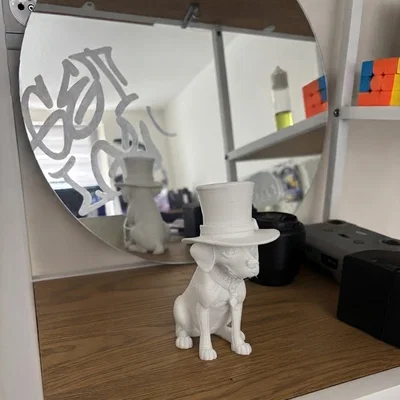 Chú cún Super Snazzy Pooch đội mũ cực chất!