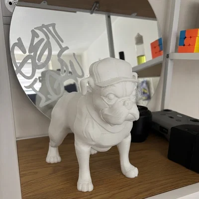 Chú chó Bulldog đội mũ cực chất