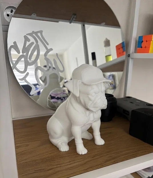 Chú Bulldog cực chất đội nón thời trang! - Image 1