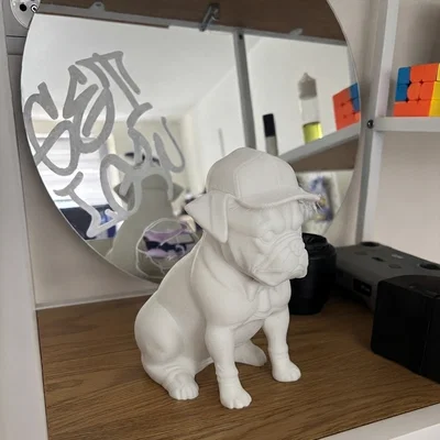 Chú Bulldog cực chất đội nón thời trang!