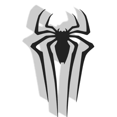 Mô hình trang trí tường Spider Decor - Tạo điểm nhấn cá tính