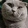 andruala_179229