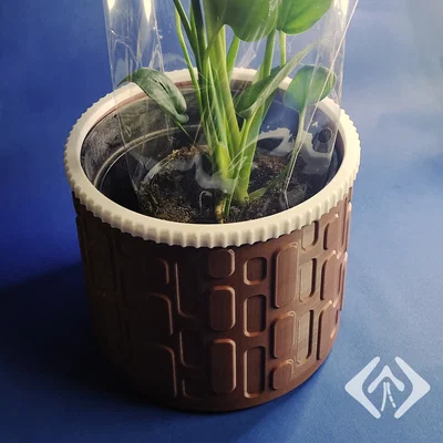 Bọc chậu cây hình trụ phong cách hiện đại
