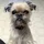 sworcester001_3943