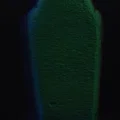 Mô hình in 3D: Quan tài cổ đại Sarcophagus of Harkhebit - Thumbnail 5