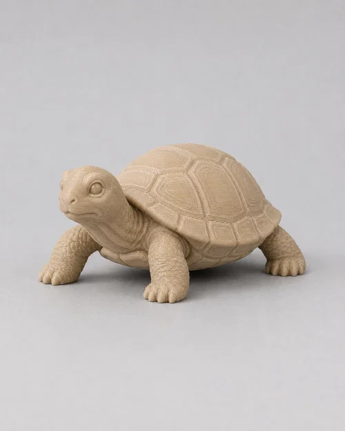 Mô hình chú rùa nhỏ (Turtle) 3D in - Trang trí và đồ chơi tinh xảo - Image 1