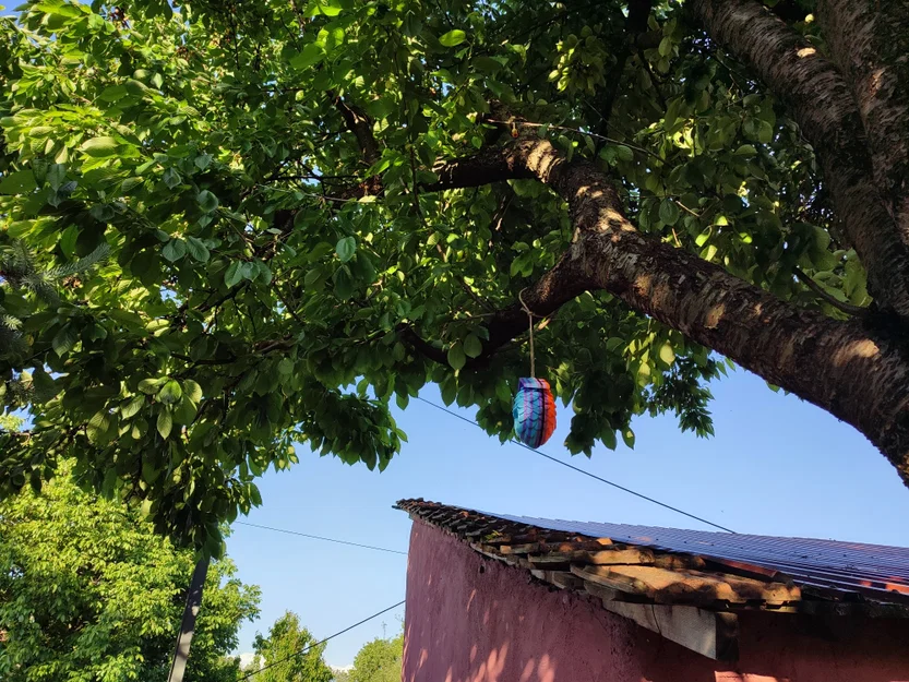 Nhà Chim Hình Quả Thông (Pinecone Birdhouse) - Image 1