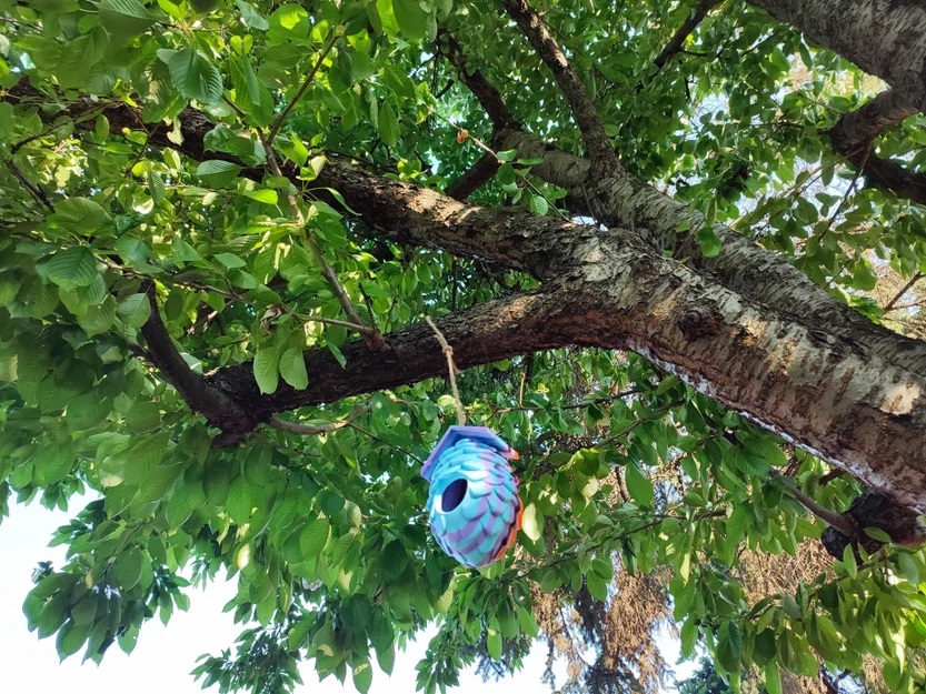 Nhà Chim Hình Quả Thông (Pinecone Birdhouse) - Image 2