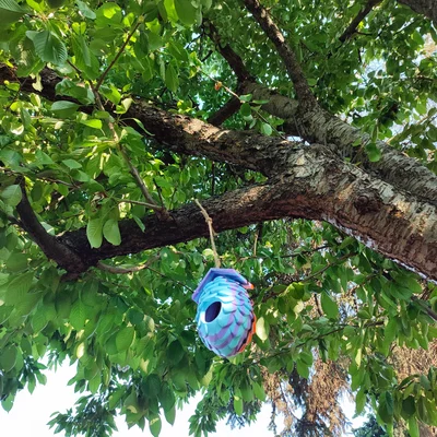 Nhà Chim Hình Quả Thông (Pinecone Birdhouse)