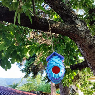 Nhà Chim Hình Quả Thông (Pinecone Birdhouse)