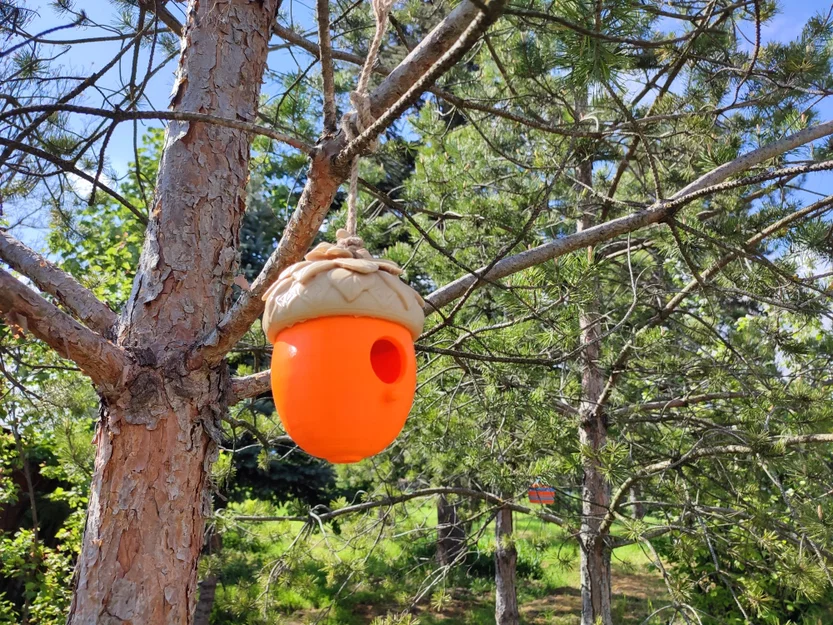 Nhà Chim Hình Quả Sồi (Acorn Birdhouse) - Image 1