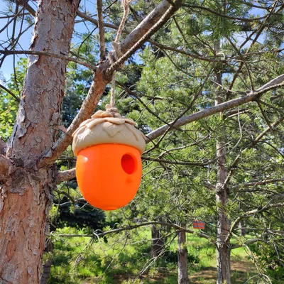 Nhà Chim Hình Quả Sồi (Acorn Birdhouse)