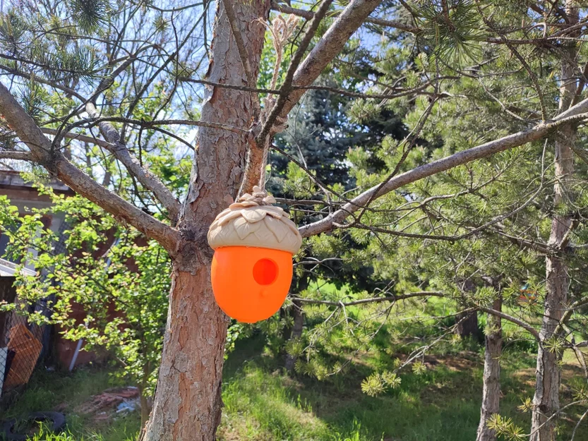 Nhà Chim Hình Quả Sồi (Acorn Birdhouse) - Image 2