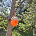 Nhà Chim Hình Quả Sồi (Acorn Birdhouse) - Thumbnail 2