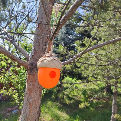Nhà Chim Hình Quả Sồi (Acorn Birdhouse)