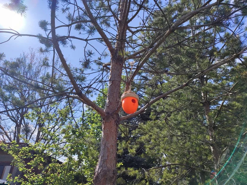 Nhà Chim Hình Quả Sồi (Acorn Birdhouse) - Image 3