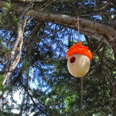 Nhà Chim Hình Quả Sồi (Acorn Birdhouse)