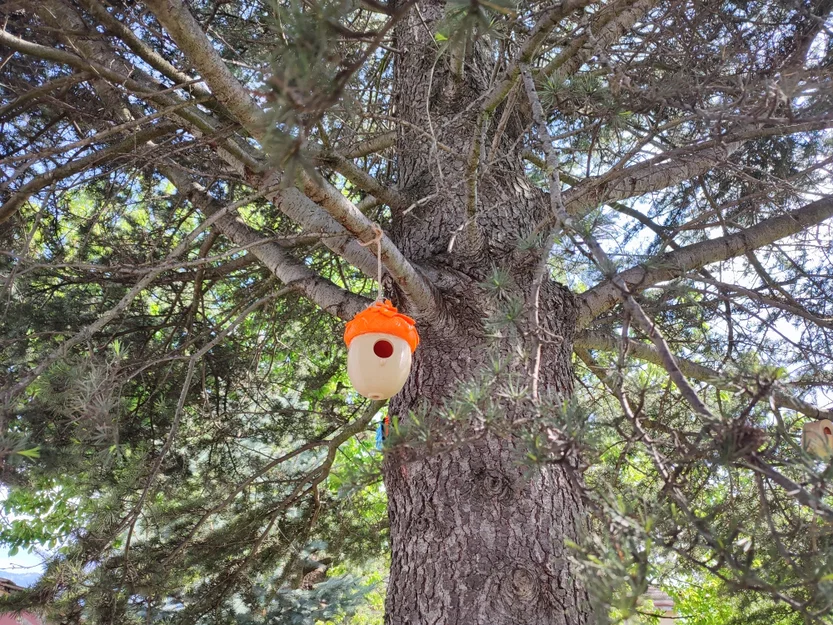 Nhà Chim Hình Quả Sồi (Acorn Birdhouse) - Image 5
