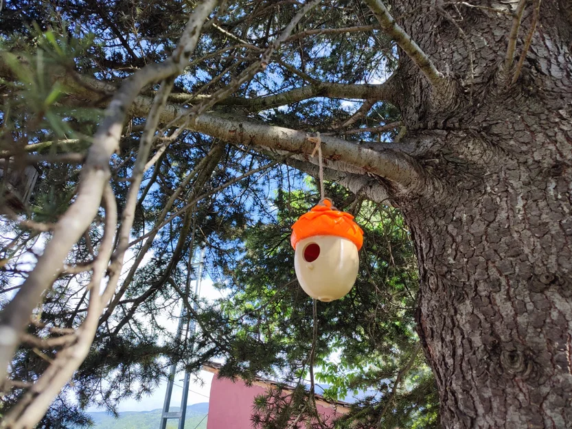 Nhà Chim Hình Quả Sồi (Acorn Birdhouse) - Image 6