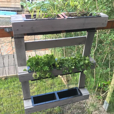 Bình trồng thảo mộc từ pallet