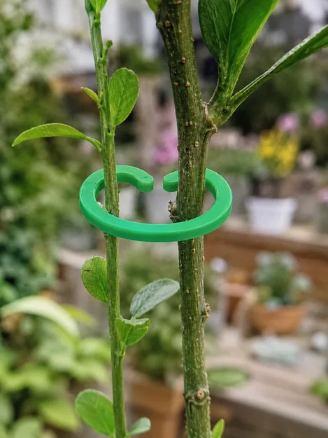 Kẹp đỡ thân cây PlantGrip (PlantGrip Stem Support Clip) - Image 1
