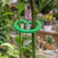 Kẹp đỡ thân cây PlantGrip (PlantGrip Stem Support Clip) - Thumbnail 1