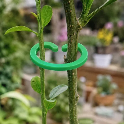 Kẹp đỡ thân cây PlantGrip (PlantGrip Stem Support Clip)