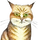 Gahrzvhvog