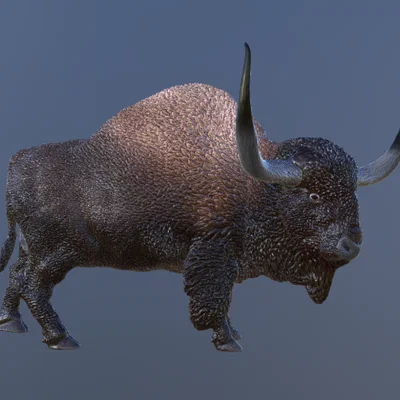 Mô hình 3D Bò Bison cổ đại (Bison Latifrons) chi tiết, sắc nét