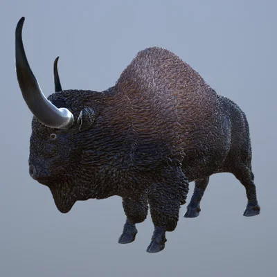 Mô hình 3D Bò Bison cổ đại (Bison Latifrons) chi tiết, sắc nét