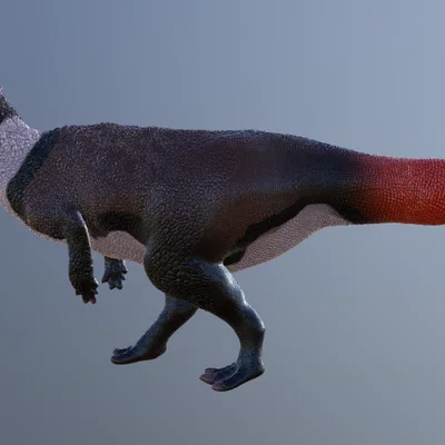 Mô hình khủng long Pachycephalosaurus - Tái hiện chuẩn xác từ Hell Creek