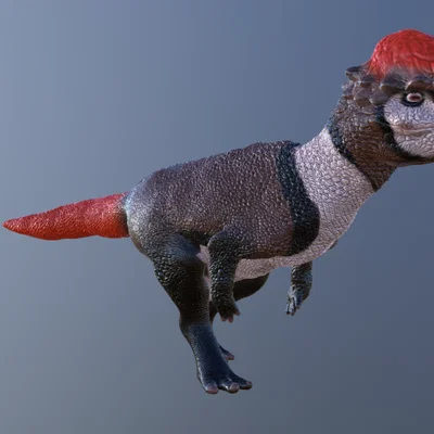 Mô hình khủng long Pachycephalosaurus - Tái hiện chuẩn xác từ Hell Creek