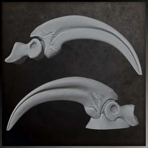 Mô hình móng vuốt khủng long Pyroraptor Raptor Claw - Image 5
