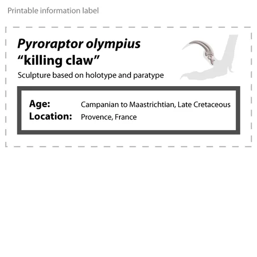 Mô hình móng vuốt khủng long Pyroraptor Raptor Claw - Image 6