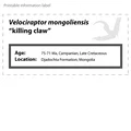 Mô hình móng vuốt Velociraptor - Thumbnail 4
