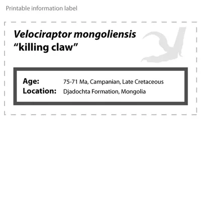 Mô hình móng vuốt Velociraptor